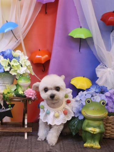 20230624じゅのんくん